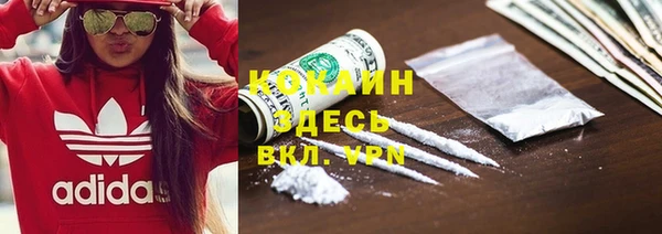 твердый Абаза