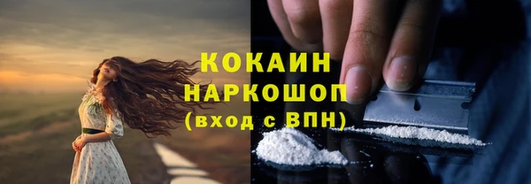 твердый Абаза
